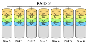 RAID 2 Recovery CT